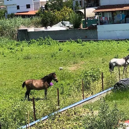 Lovely House By The Sea With Garden And Bbq Platanidia