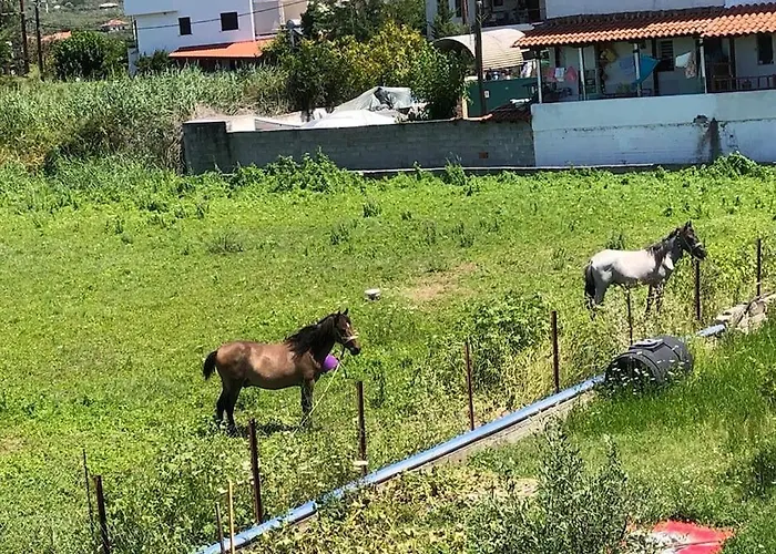 Lovely House By The Sea With Garden And Bbq Platanidia