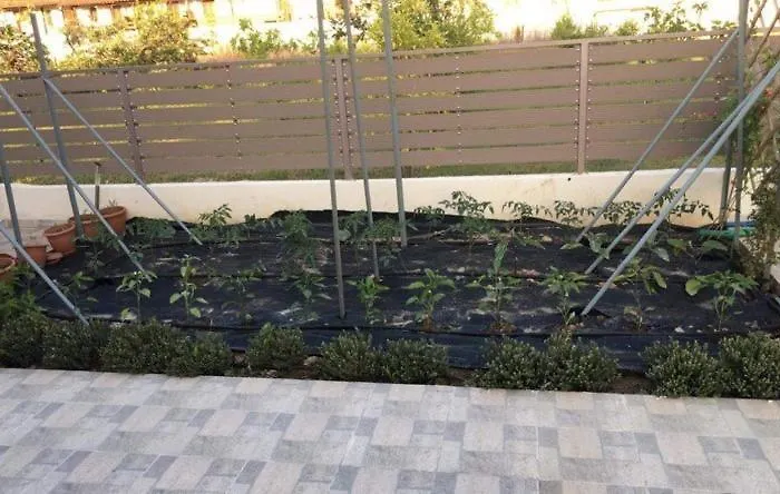 Lovely House By The Sea With Garden And Bbq Apartament *